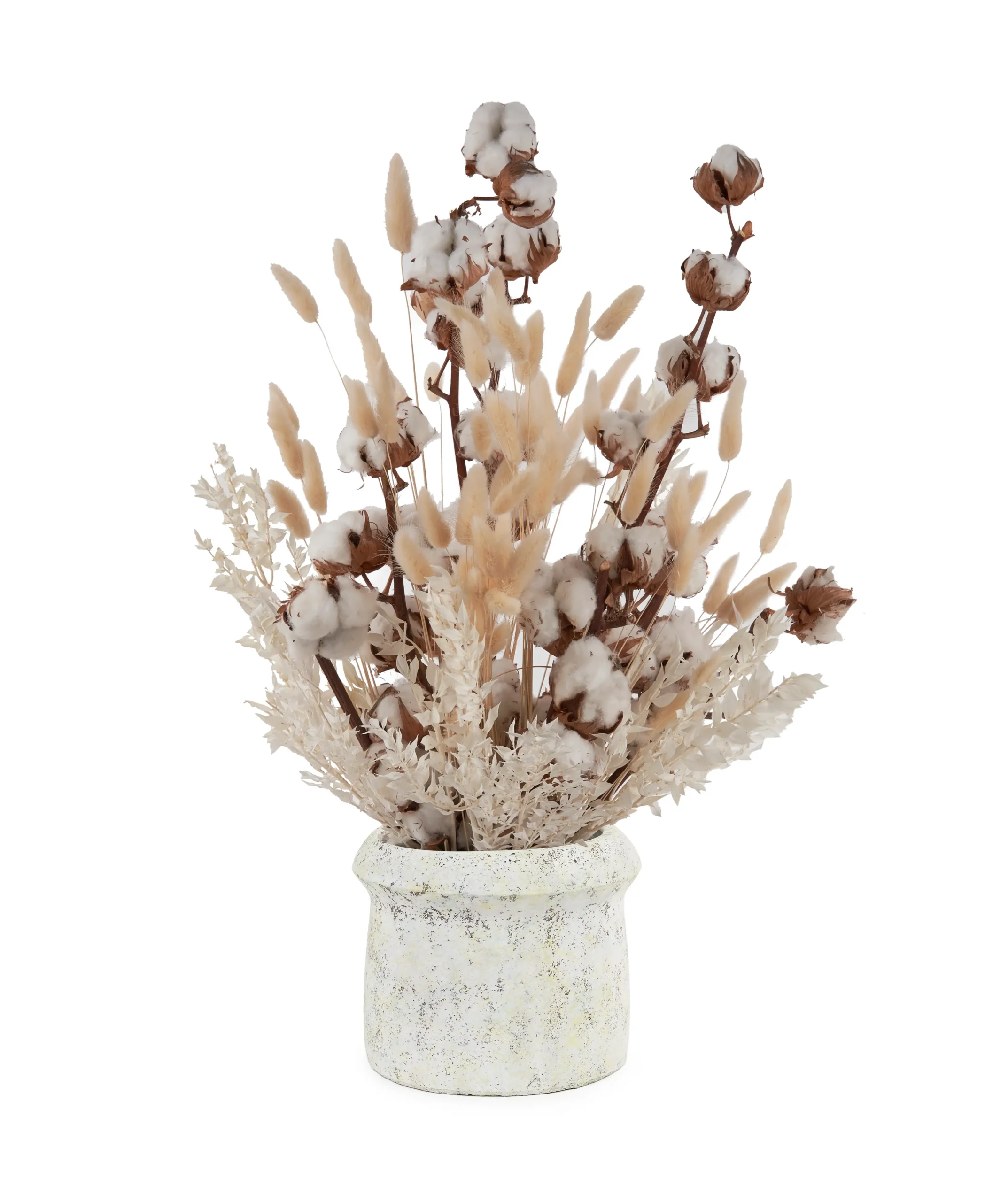 Warm Cuddle Edited scaled 1 Warm Cuddle Edited scaled 1