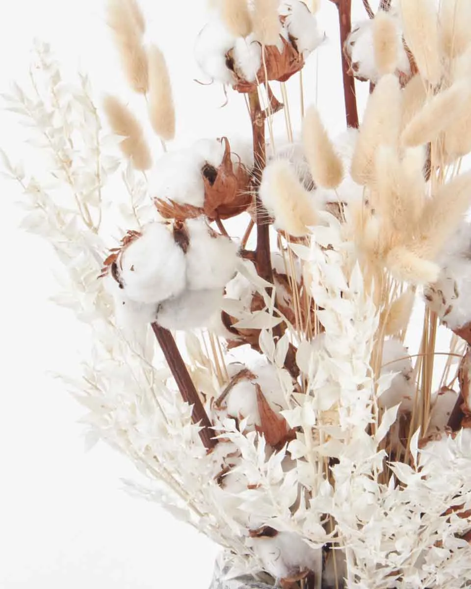 Warm Cuddle JUNE 14 2023 1 Warm Cuddle JUNE 14 2023 1