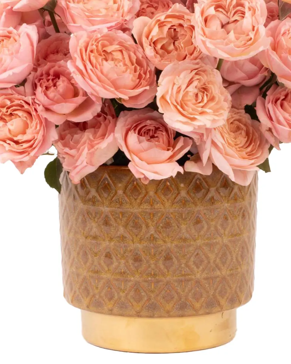 Warm EmbraceIMG 1909 1 Warm EmbraceIMG 1909 1