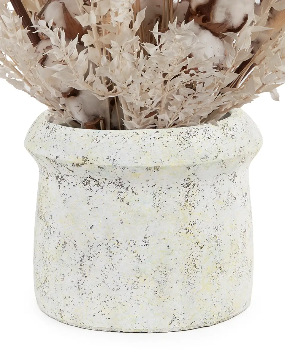 Warmth Cuddle Side2 17 May 2024.jpg Warmth Cuddle Side2 17 May 2024.jpg