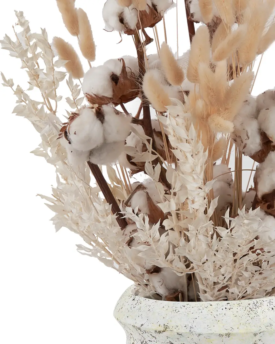 Warmth Cuddle Side 17 May 2024 copy Warmth Cuddle Side 17 May 2024 copy