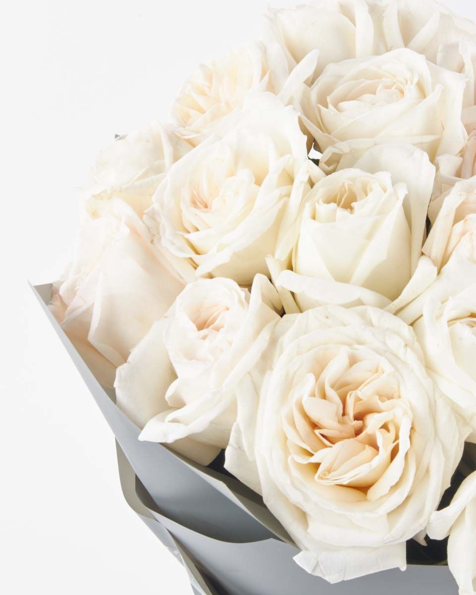 White O hara superb JUNE 12, 2023 White O hara superb JUNE 12, 2023