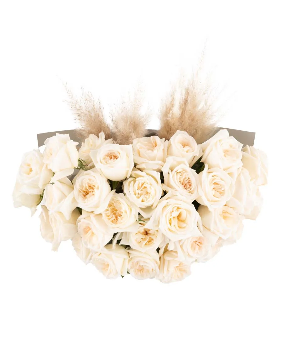 White O hara superb JUNE 21 2023 top White O hara superb JUNE 21 2023 top