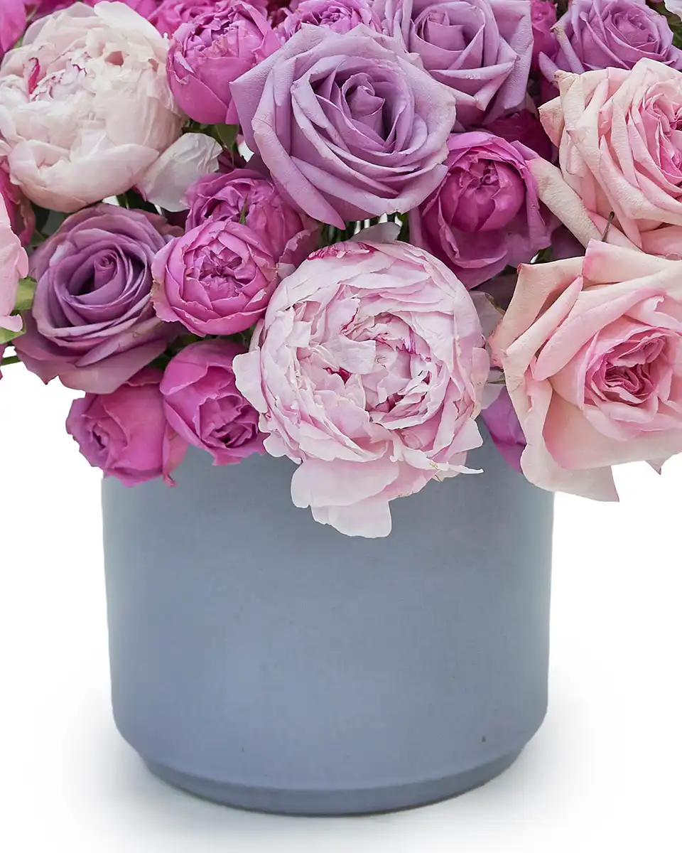 Wishful 2026 Details 2 Wishful 2026 Details 2