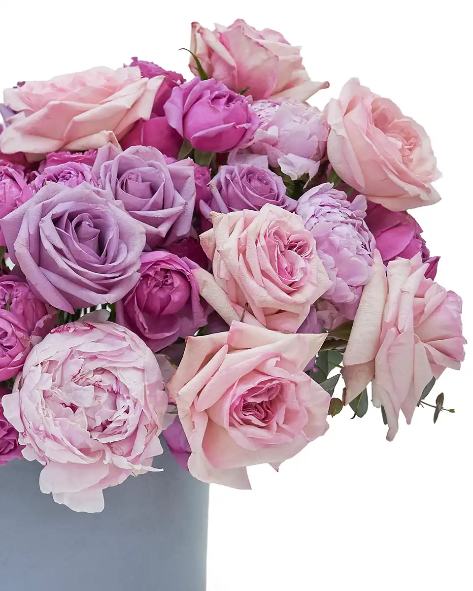 Wishful 2026 Details Wishful 2026 Details