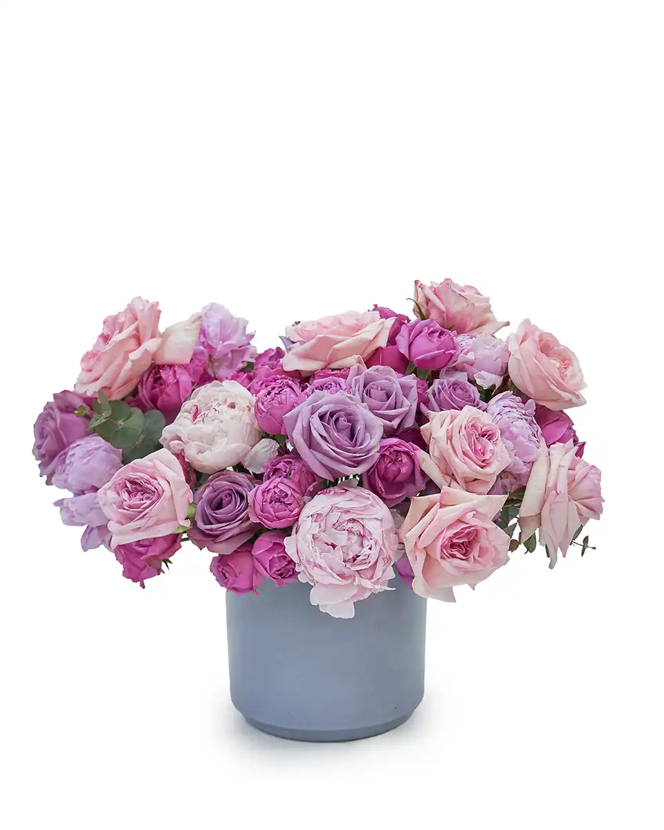 Wishful 2026 Wishful 2026