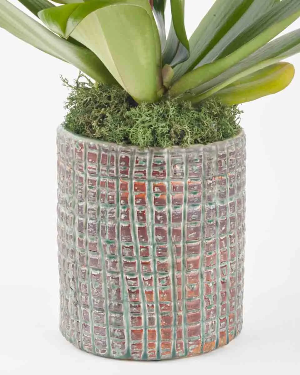 Yellow Glazed JUNE 16 2023 2 Yellow Glazed JUNE 16 2023 2