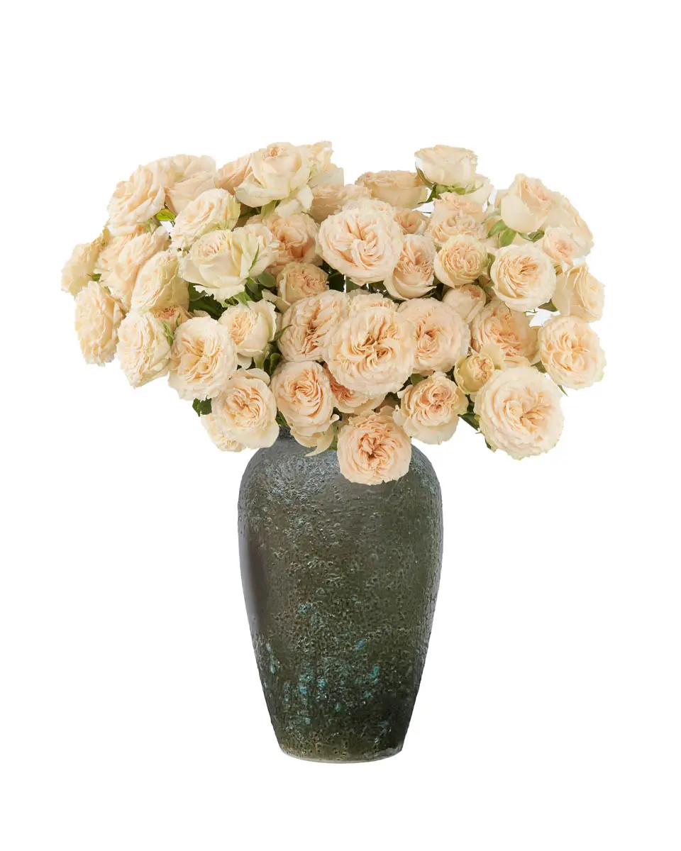 Your Smile Eeb 2025 Your Smile Eeb 2025