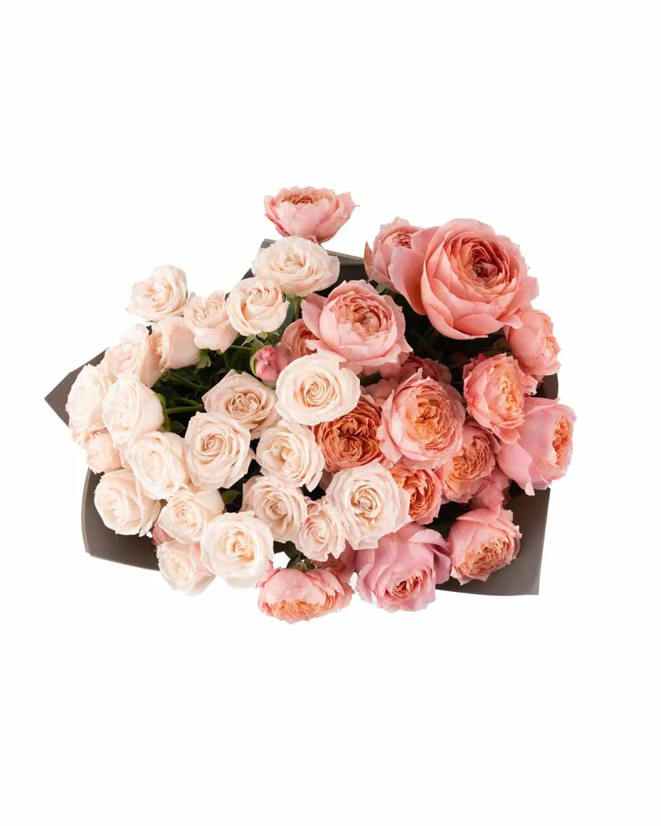 rose galore impressive JUNE 12 2023 top rose galore impressive JUNE 12 2023 top