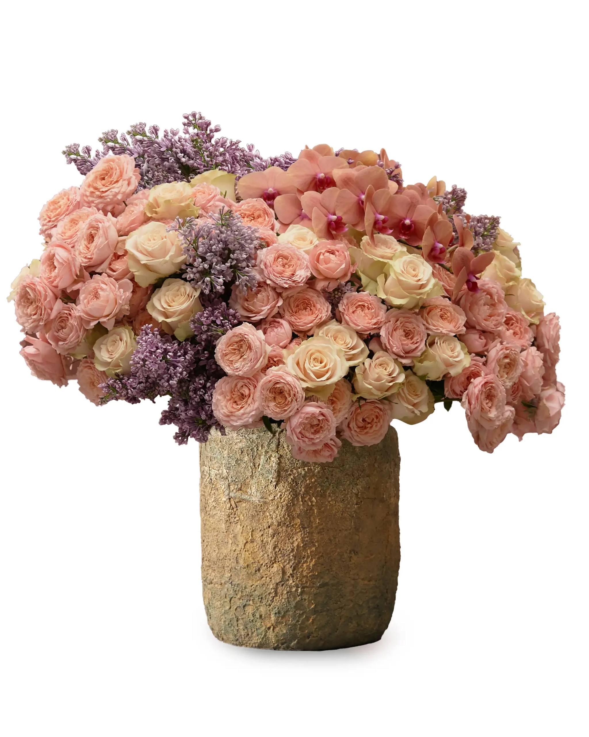 super duper scaled 1 super duper scaled 1