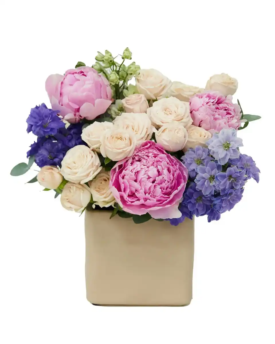 Bubbly Pink 2024 Bubbly Pink 2024