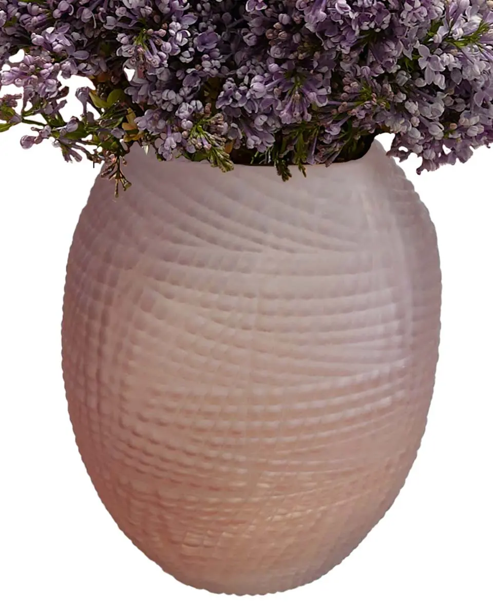 LILAC BABY 30 Dec 20243 LILAC BABY 30 Dec 20243