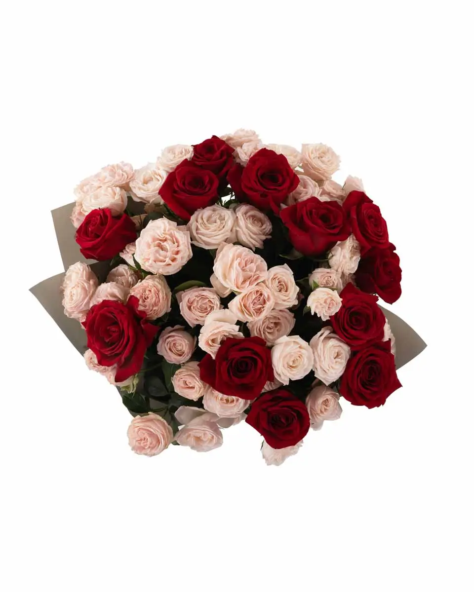 FOREVER MORE IMPRESSIVE JUNE 8, 2025 top FOREVER MORE IMPRESSIVE JUNE 8, 2025 top