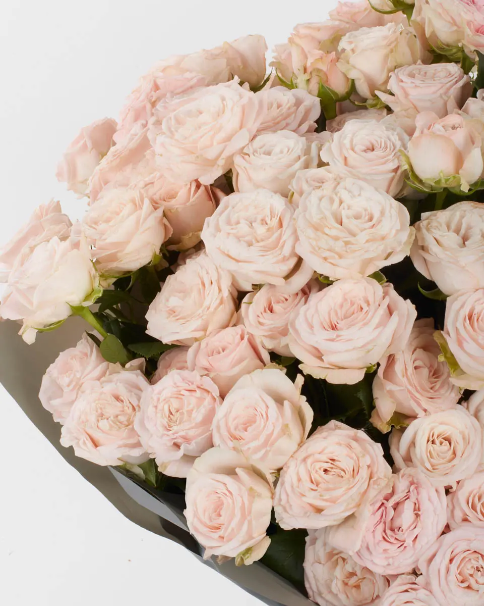 HELLO Bombastic IMPRESSIVE JUNE 1 HELLO Bombastic IMPRESSIVE JUNE 1