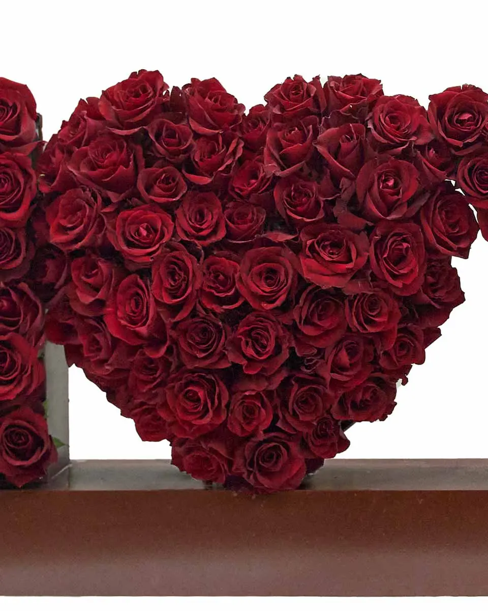 My Love For You Close My Love For You Close