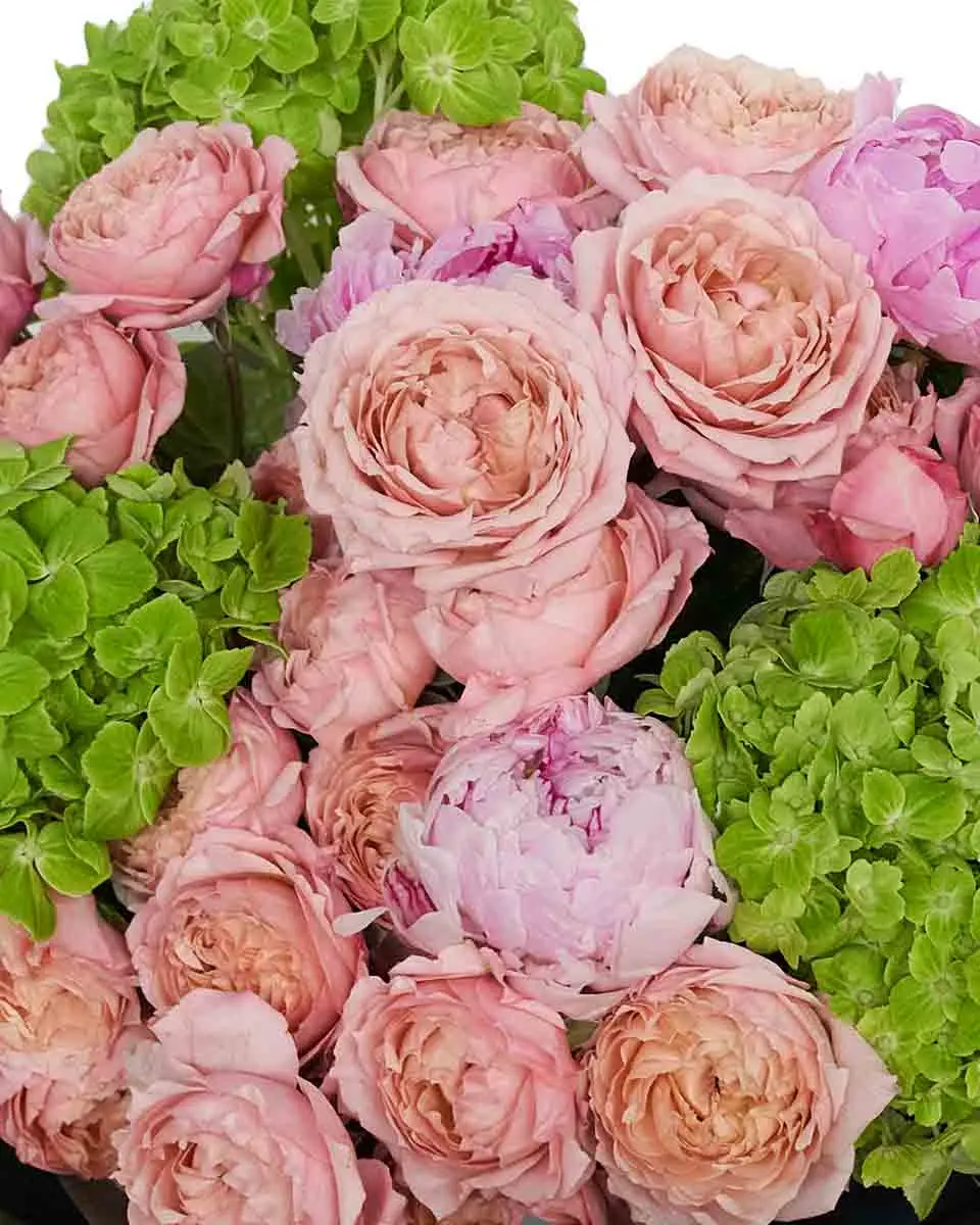 Precious Heart superb detail 3 Precious Heart superb detail 3