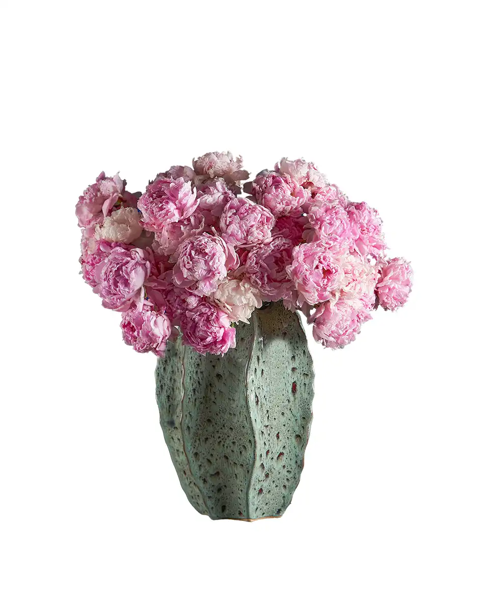 MISS SARAH Edited MISS SARAH Edited