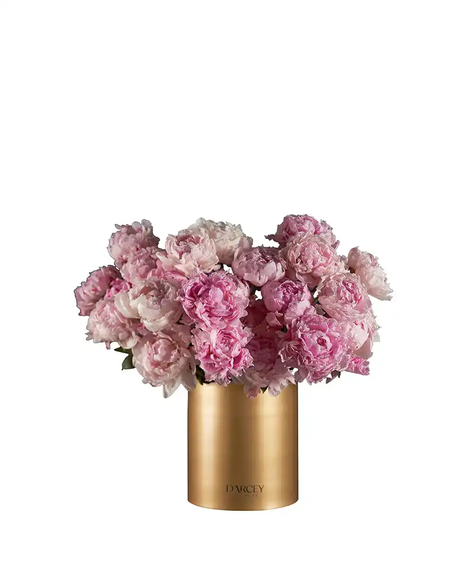 MY FAVORITE SARAH Edited2 MY FAVORITE SARAH Edited2