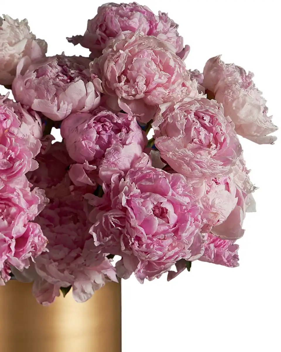 MY FAVORITE SARAH Details2 2025 MY FAVORITE SARAH Details2 2025