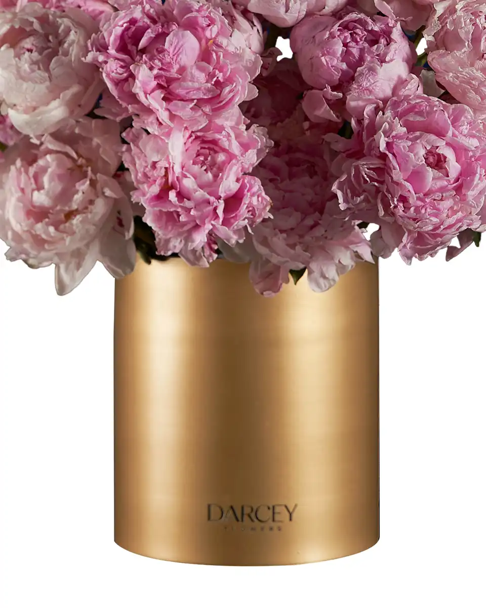 MY FAVORITE SARAH Details3 2025 MY FAVORITE SARAH Details3 2025