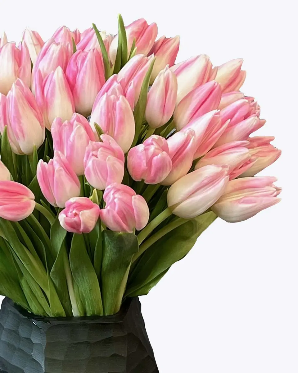 Tulip Forever 1 Details 2 Tulip Forever 1 Details 2