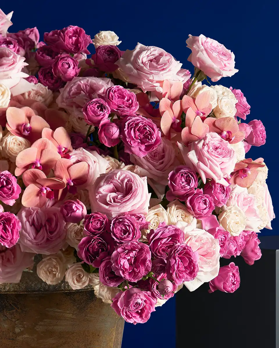 DARCEY CHOICE CHANGE TO GOLD VASE 1 Edited 3 Sep DARCEY CHOICE CHANGE TO GOLD VASE 1 Edited 3 Sep