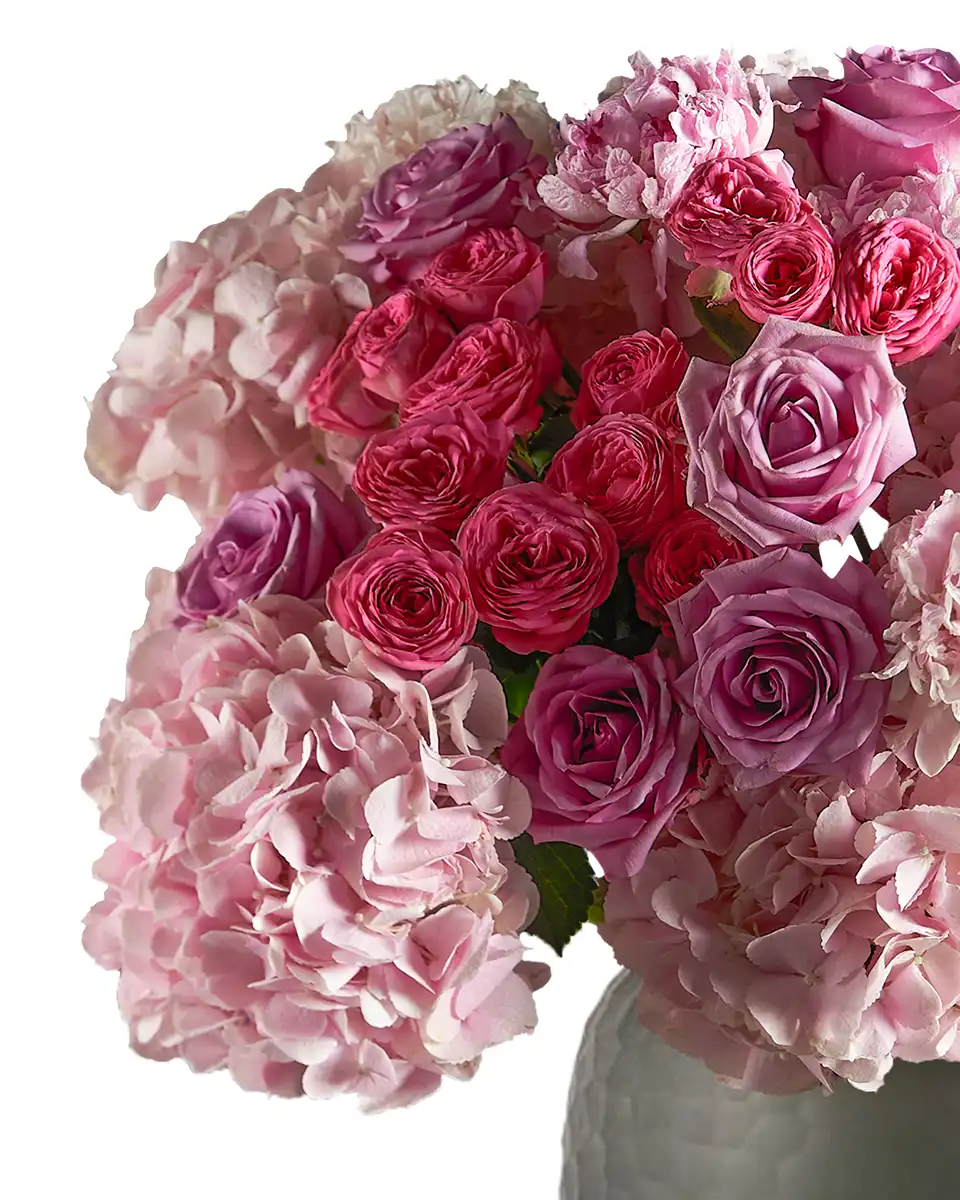 Pastel Charm 2026 details 2 Pastel Charm 2026 details 2