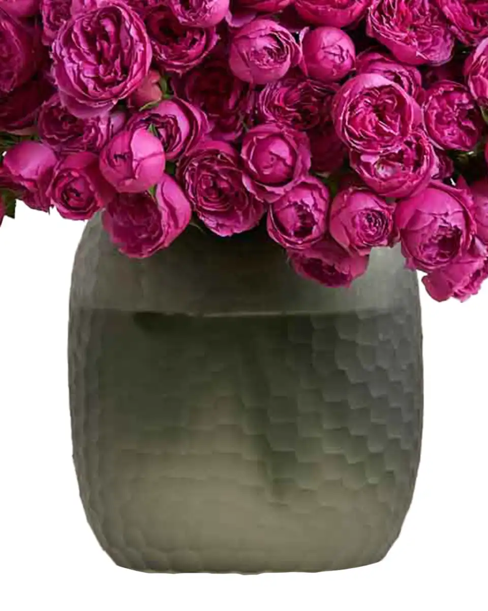 Gorgeous Bunch edited 2025 Details Gorgeous Bunch edited 2025 Details