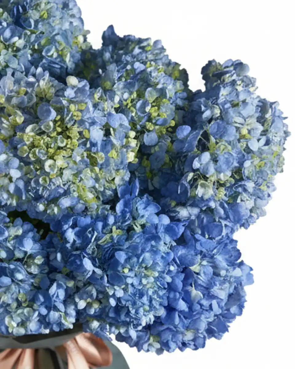 Heavenly Hues 2025 Impressive Details Heavenly Hues 2025 Impressive Details