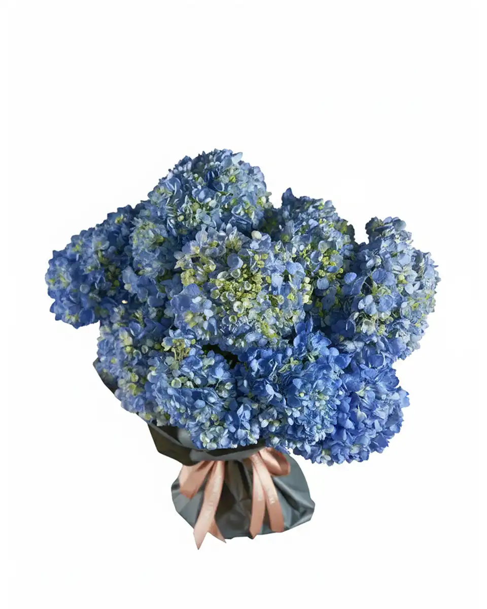 Heavenly Hues 2025 Impressive Heavenly Hues 2025 Impressive