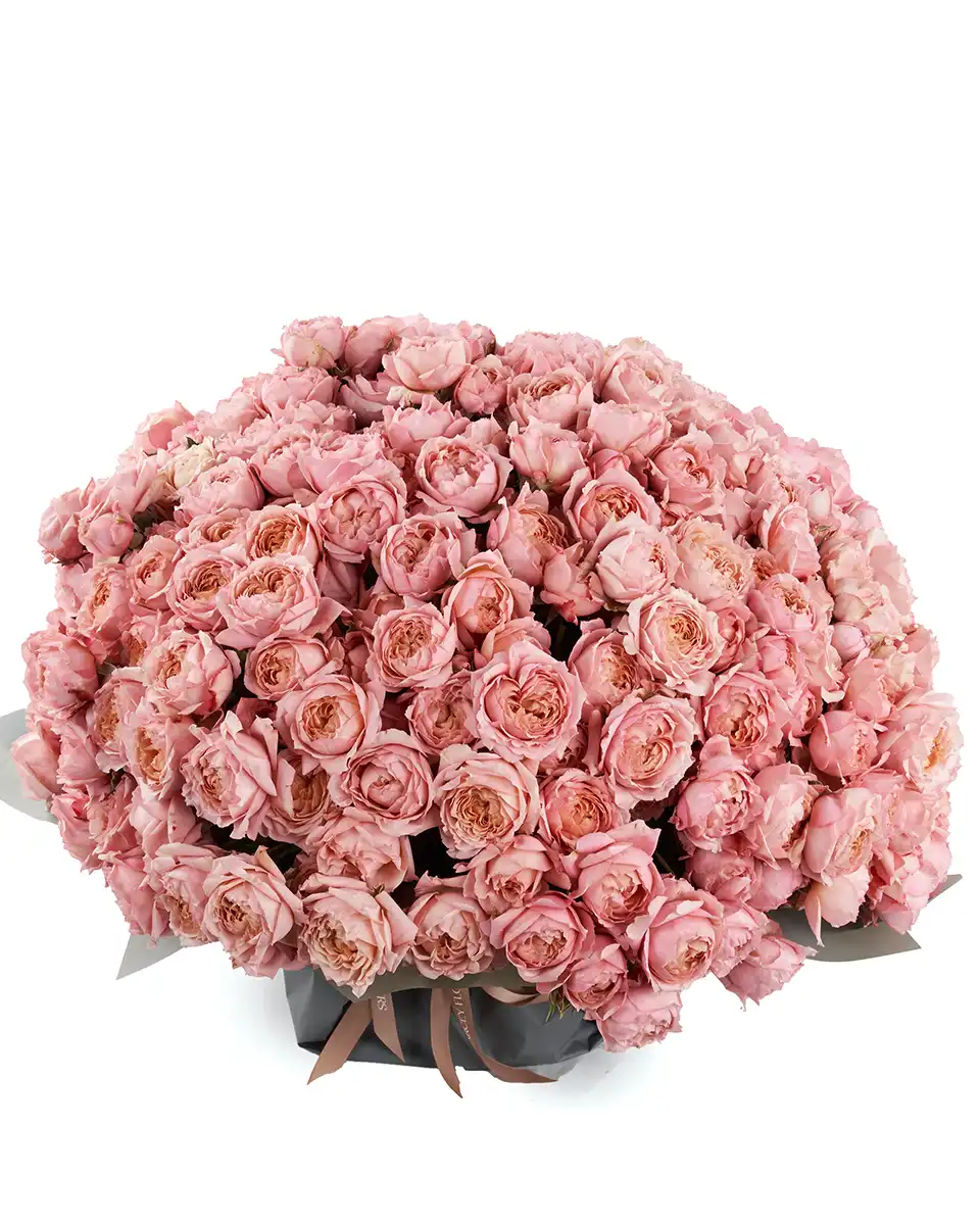 MY MEGA BLOOMS GRAND Edited 2025 MY MEGA BLOOMS GRAND Edited 2025