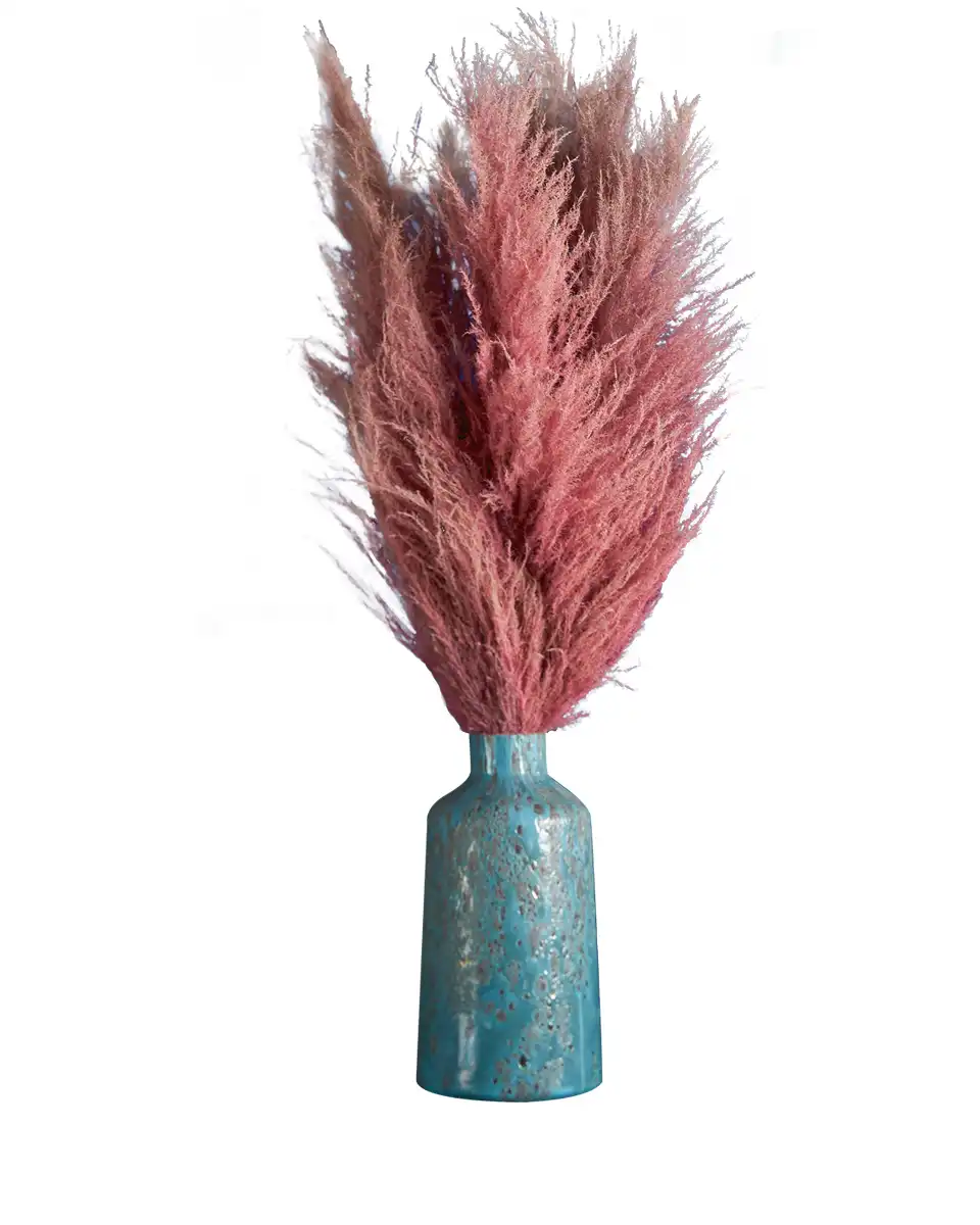 Old Rose Edited Old Rose Edited