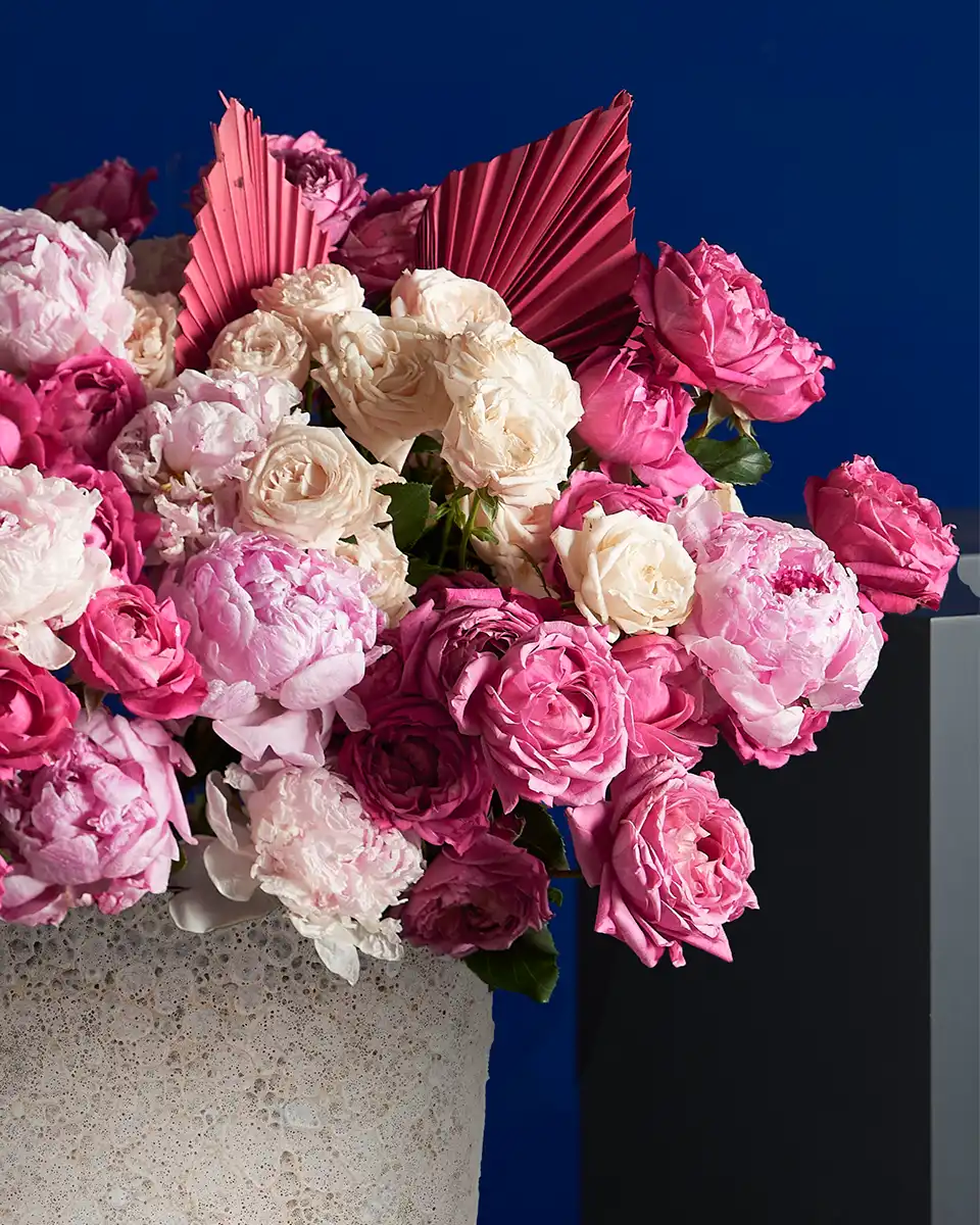 PINK AVALANCHE 20 Oct 2025 Details PINK AVALANCHE 20 Oct 2025 Details