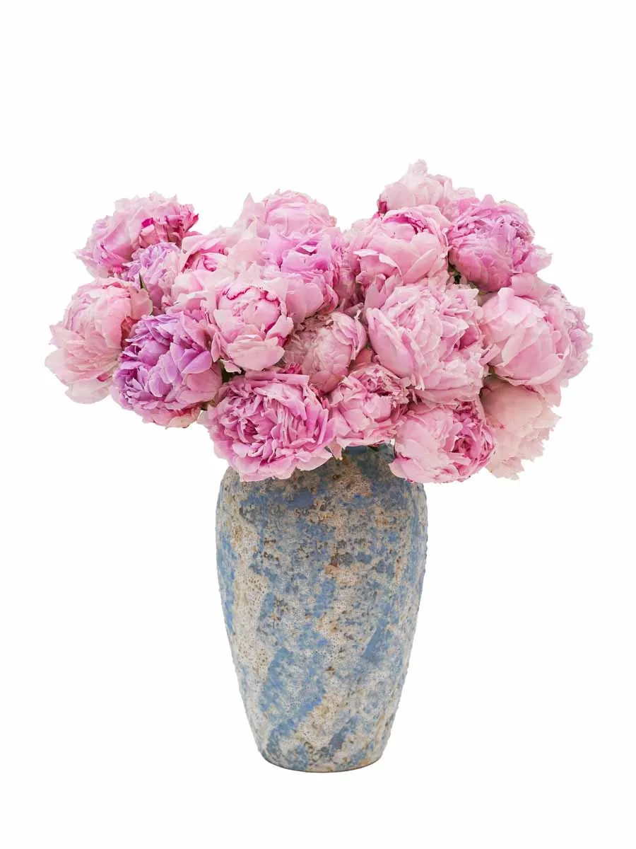 This Is Beauty new This Is Beauty new