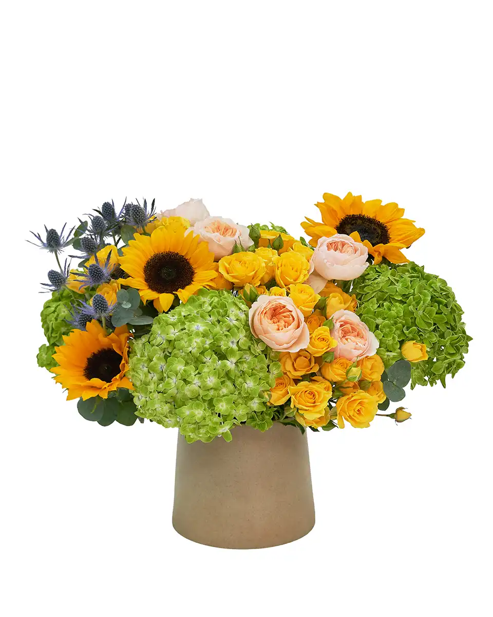 Mood Lifter Mood Lifter