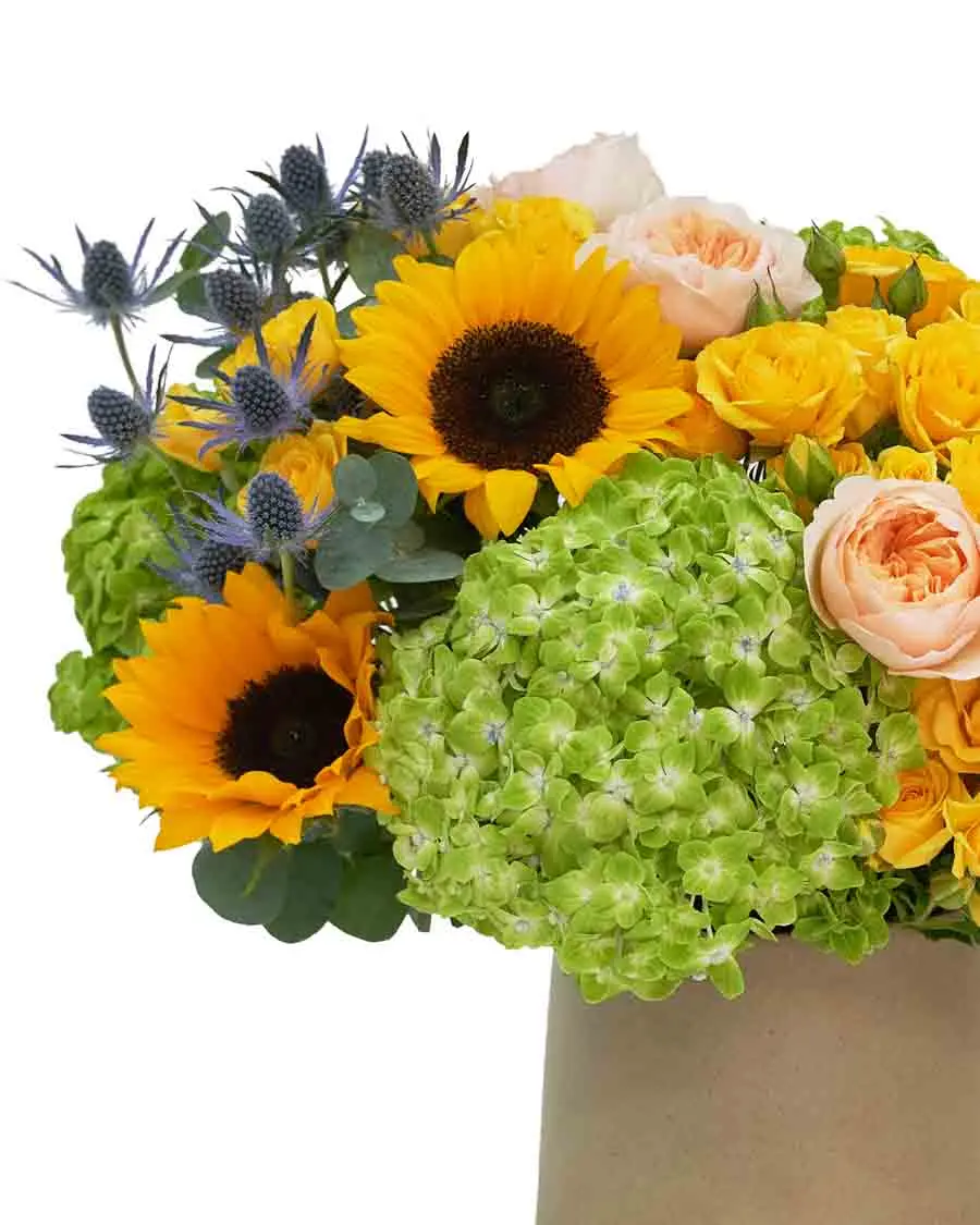 Mood Lifter detail1 Mood Lifter detail1