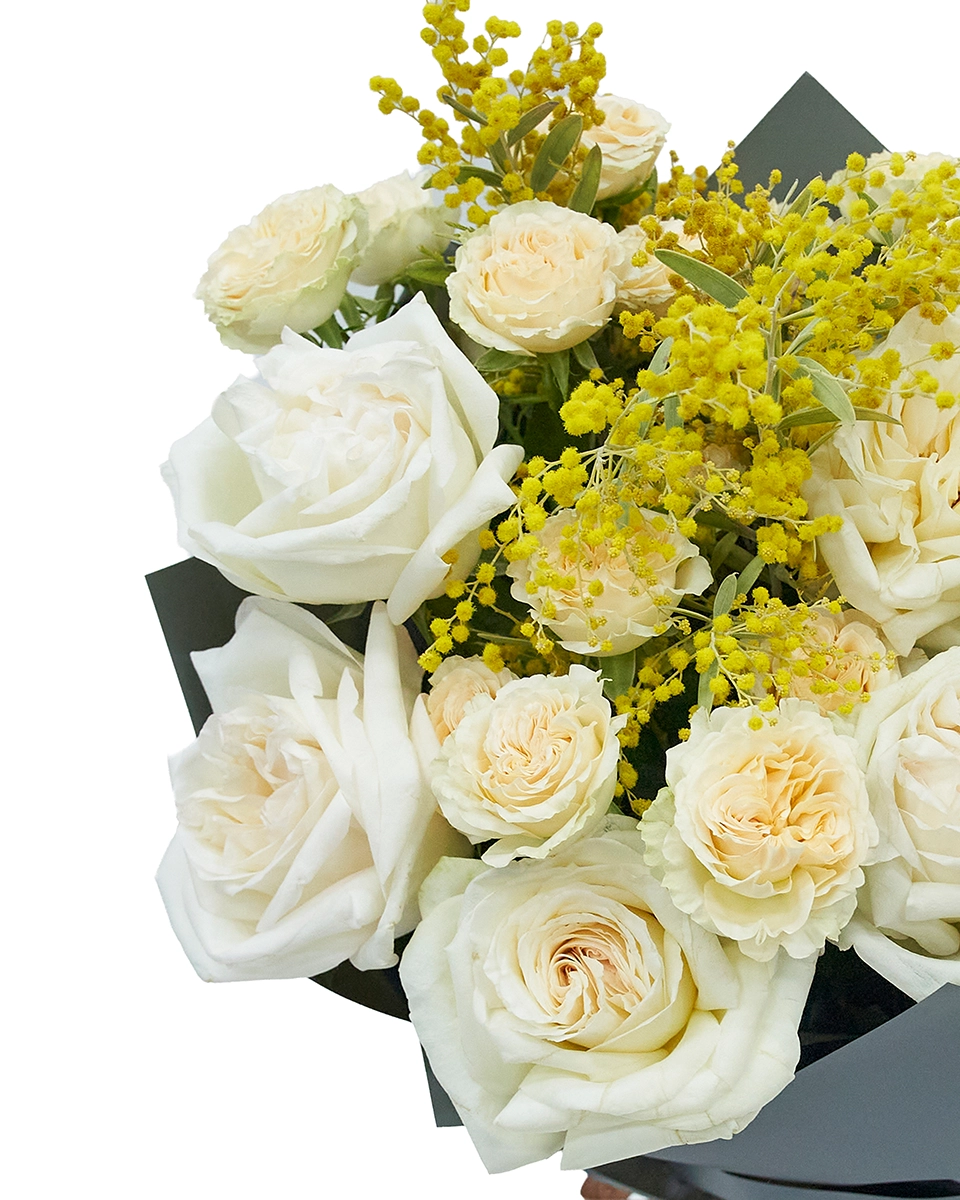 Miss Sunshine Impressive 2026 Details Miss Sunshine Impressive 2026 Details