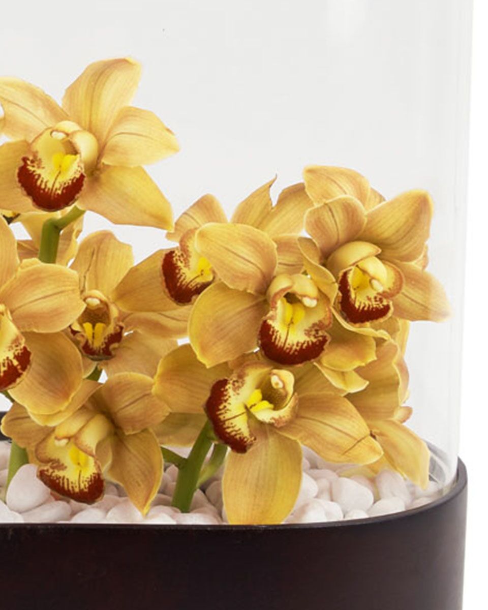 Warm Cinders ColorEdited Details 2 Warm Cinders ColorEdited Details 2