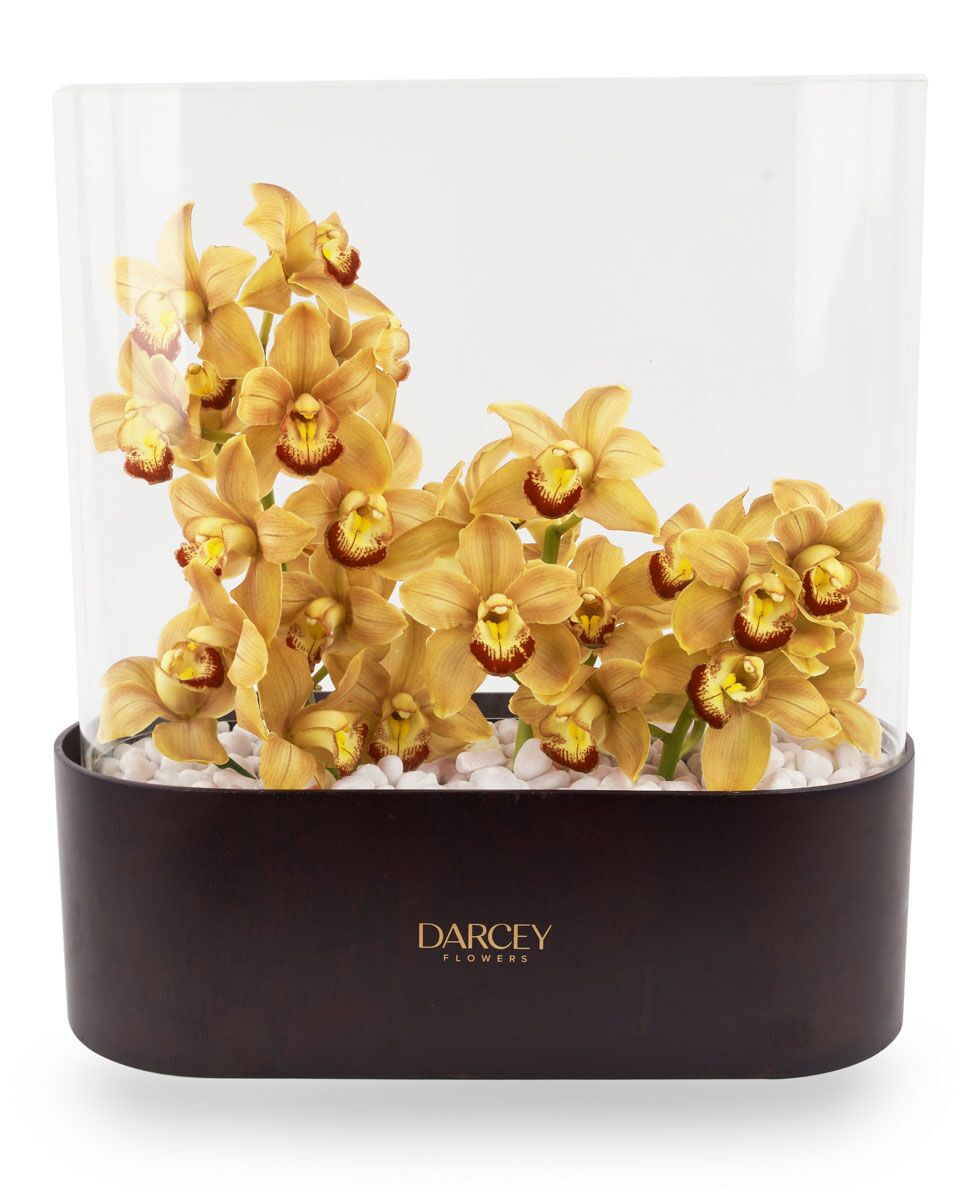 Warm Cinders ColorEdited Warm Cinders ColorEdited