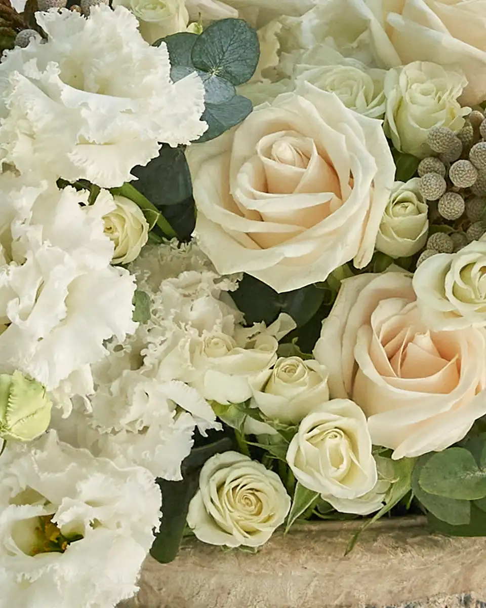 White Sparkle details 2 White Sparkle details 2