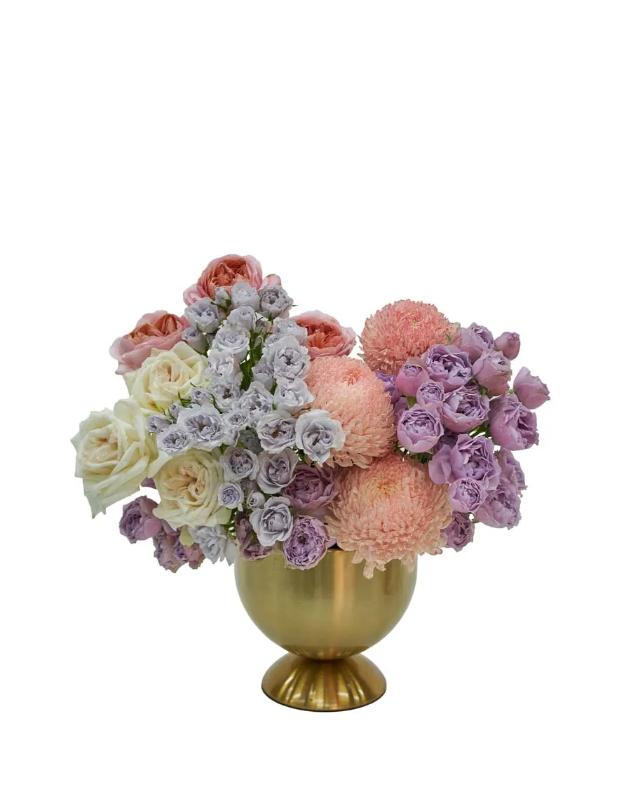 Dreamy Pastel Dreamy Pastel