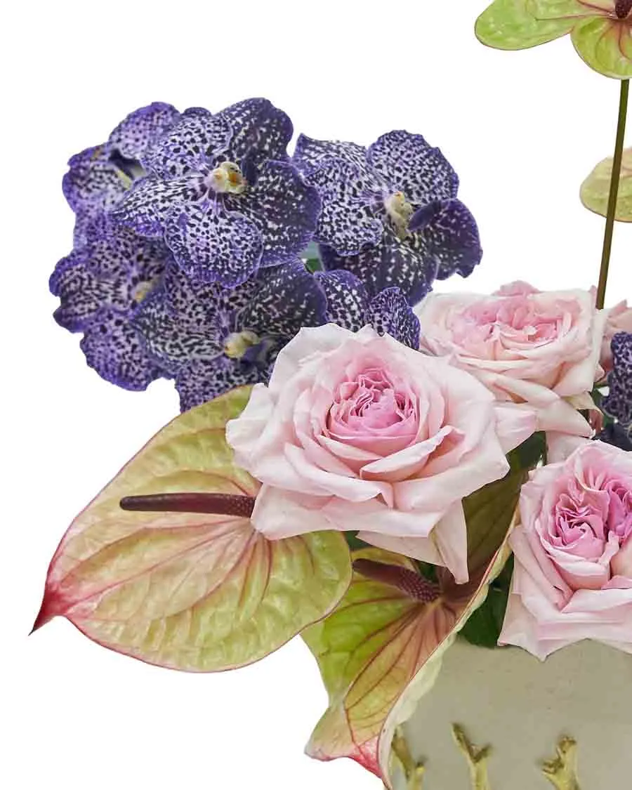 Sweetest Hug details Sweetest Hug details