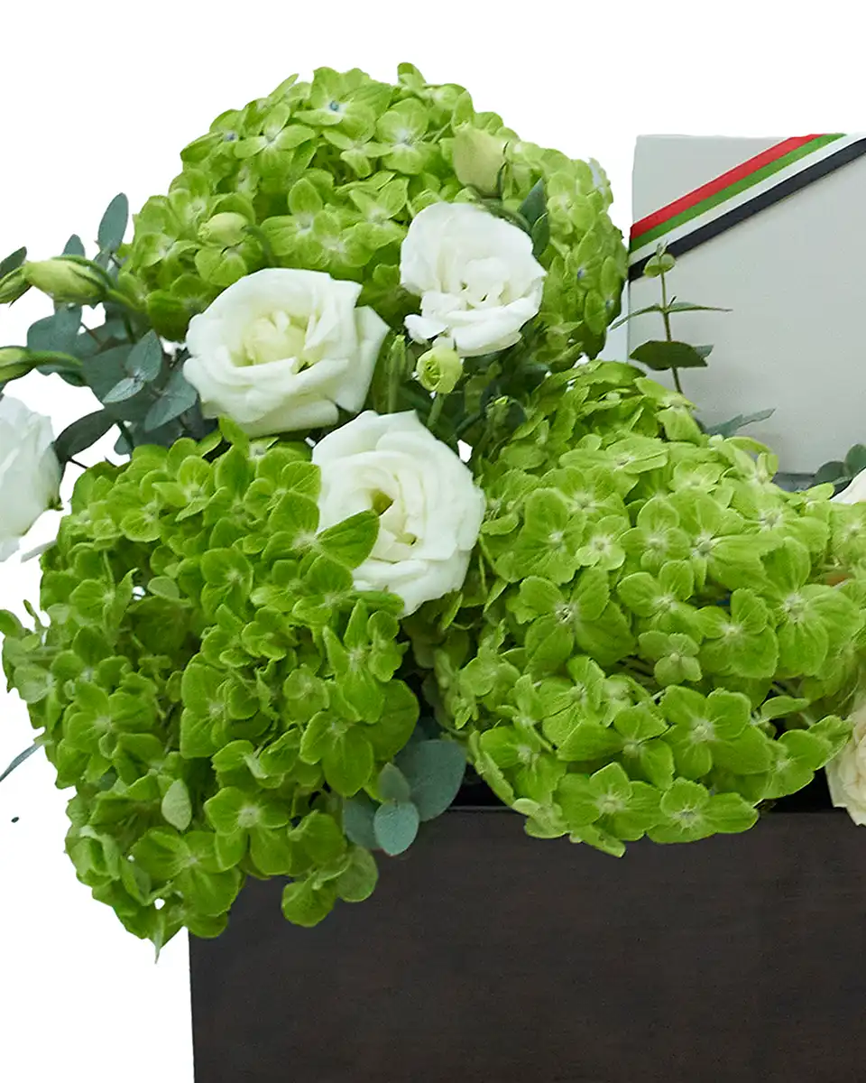 An Ode to the Emirates Details1 An Ode to the Emirates Details1