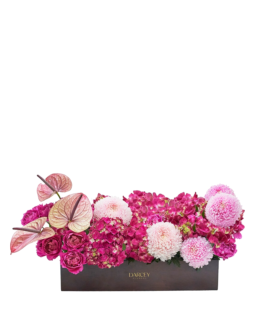 Cerise Celebration Cerise Celebration