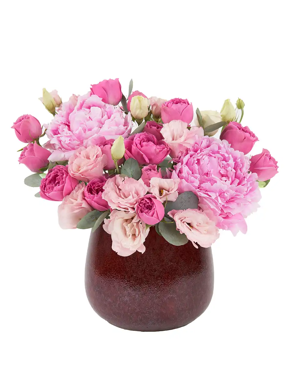 Minerva’s Beauty Minerva’s Beauty