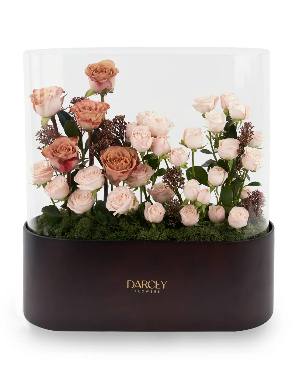 ACRYLIC BOX 1 1 ACRYLIC BOX 1 1