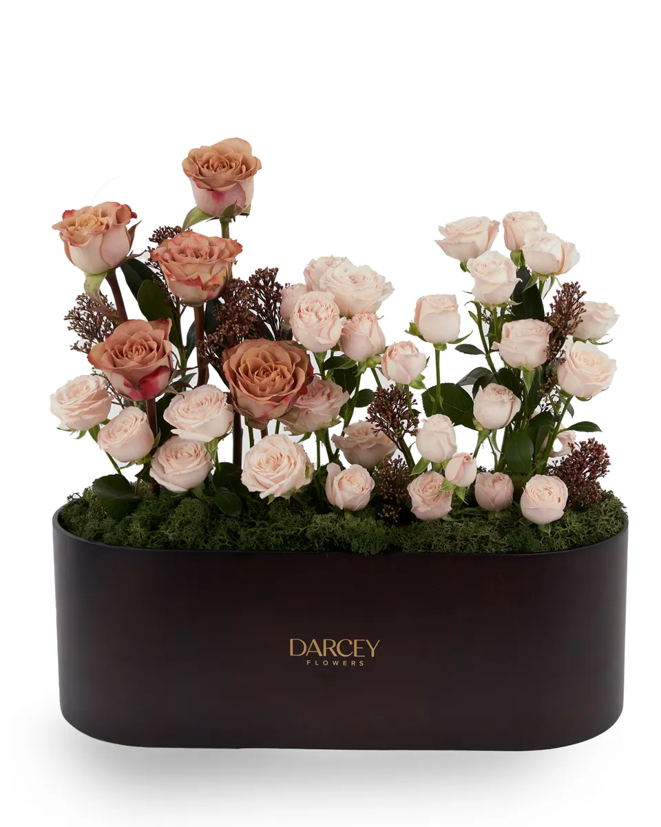 ACRYLIC BOX 1 2 ACRYLIC BOX 1 2