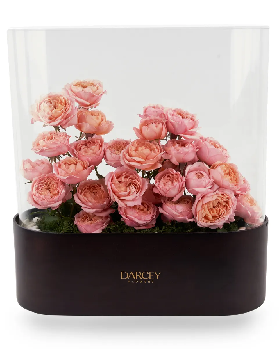 ACRYLIC BOX 9 ACRYLIC BOX 9