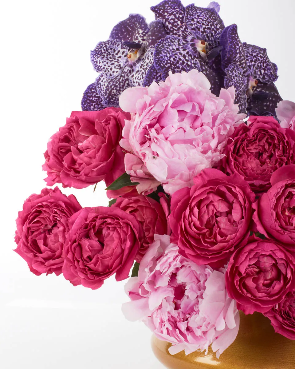 ALWAYS THE FAVORITE JUNE 2 2023 1 ALWAYS THE FAVORITE JUNE 2 2023 1