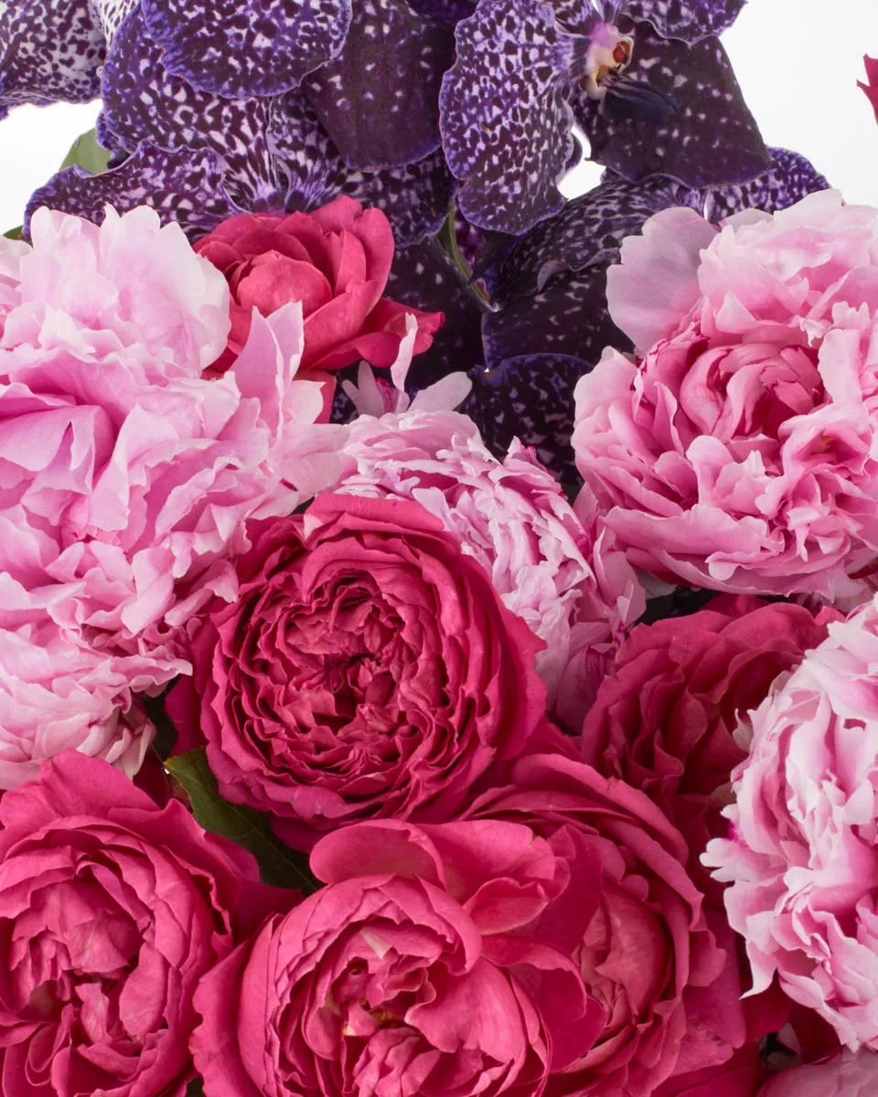 ALWAYS THE FAVORITE JUNE 2 2023 4 ALWAYS THE FAVORITE JUNE 2 2023 4